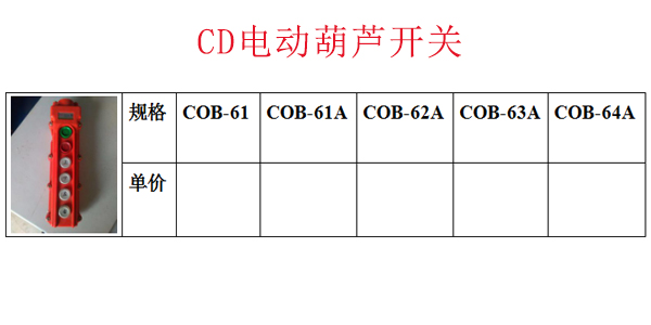 CD电动葫芦开关
