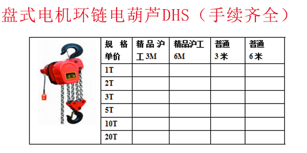 盘式电机环链电葫芦DH