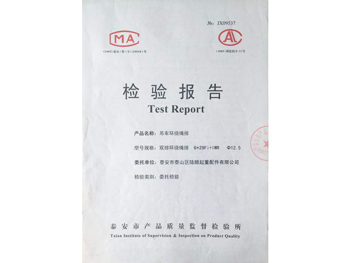 吊车环绕绳排检验报告