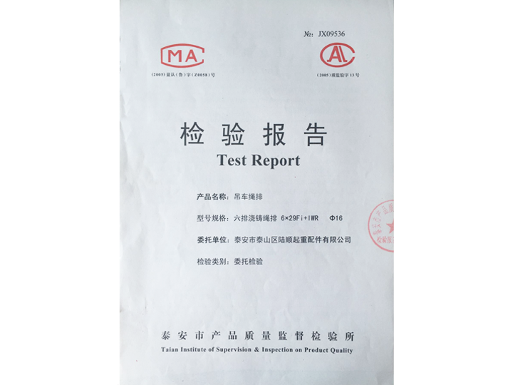 吊车绳排检验报告